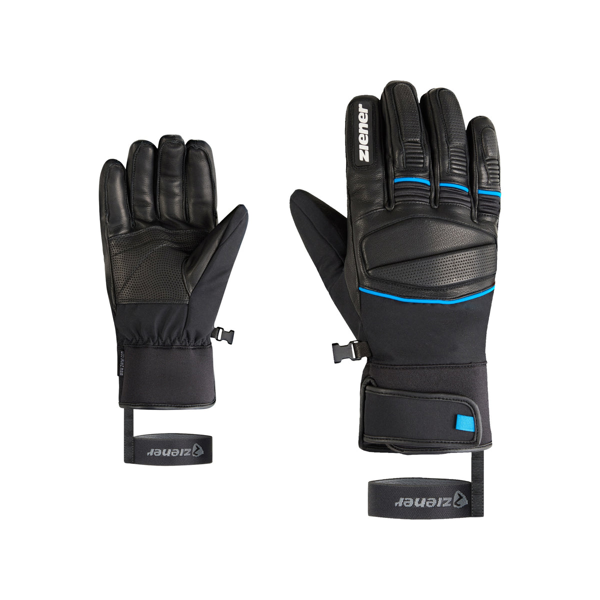 black.persian blue