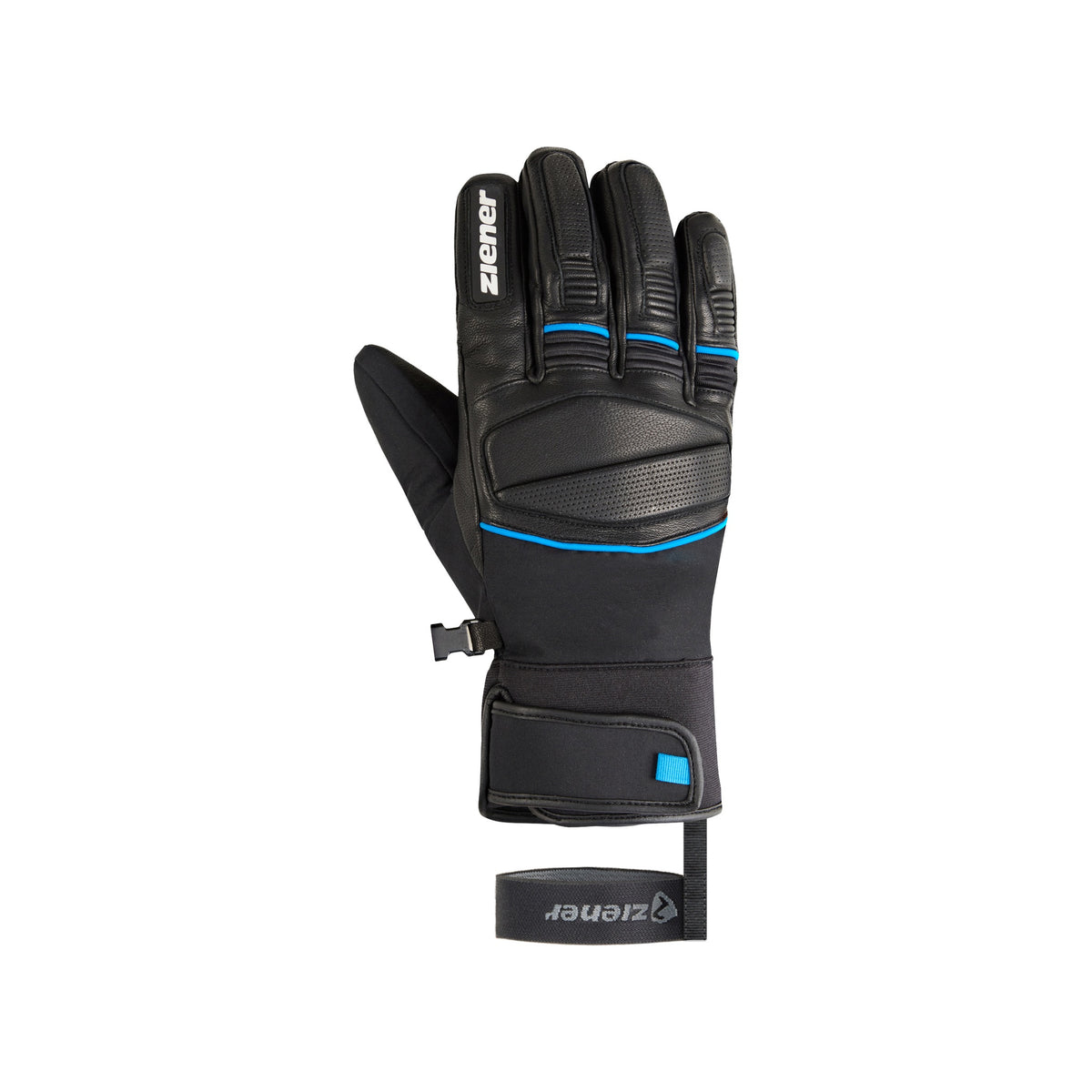 black.persian blue