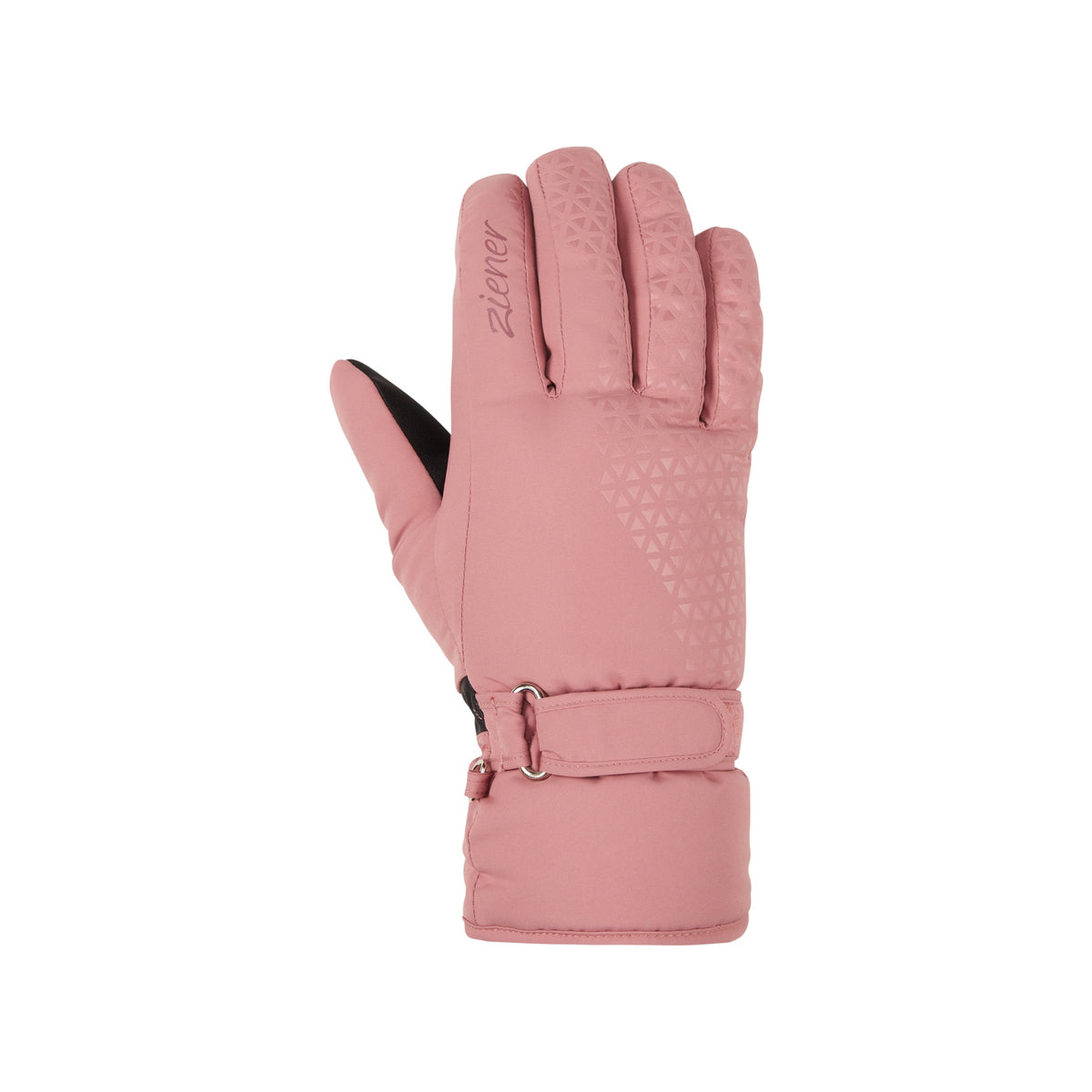 rose blossom