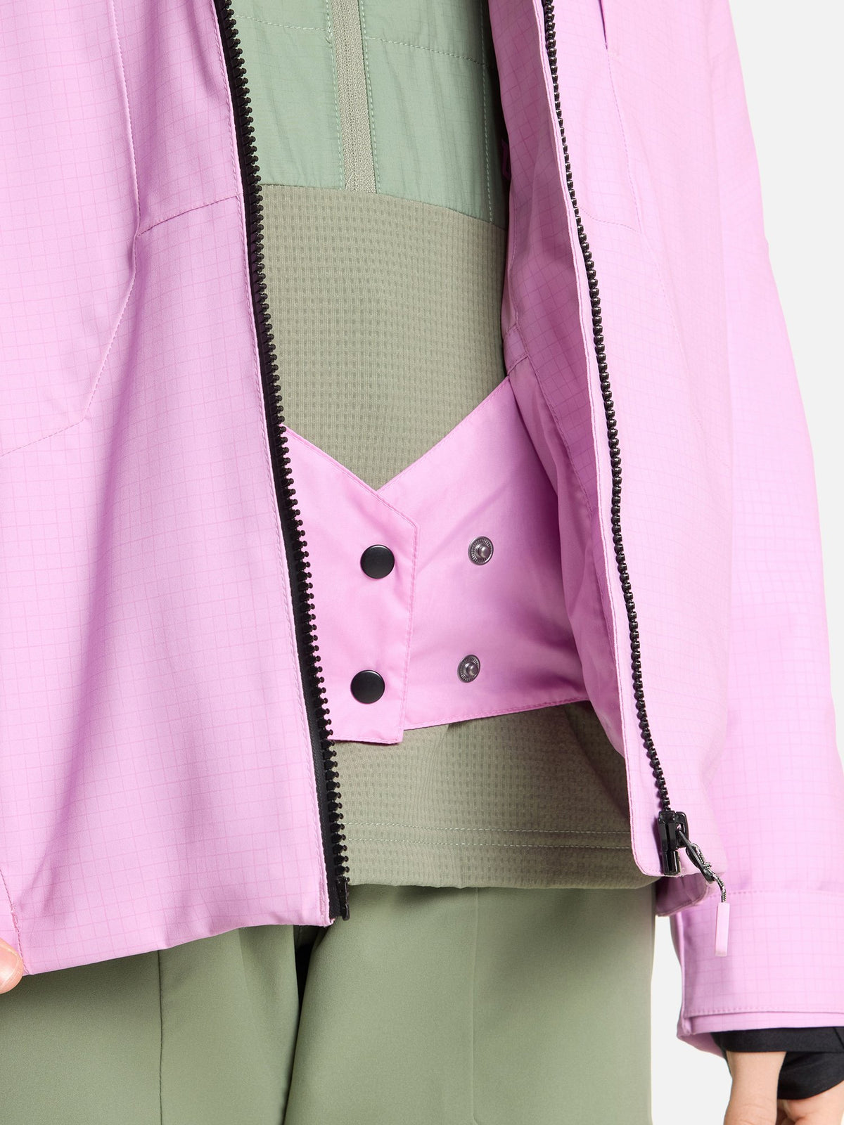 tulip pink