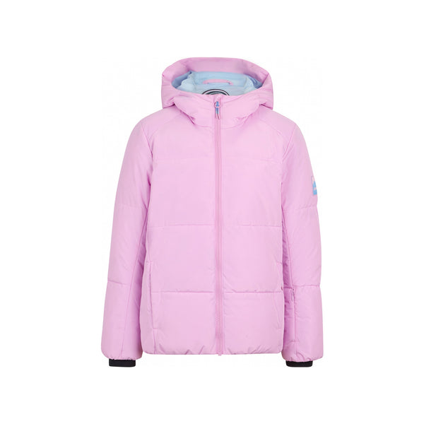 tulip pink