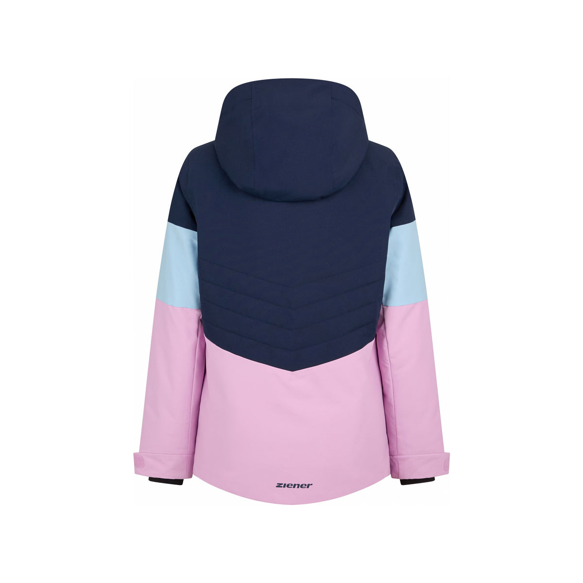 tulip pink