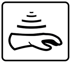 Protektor Race